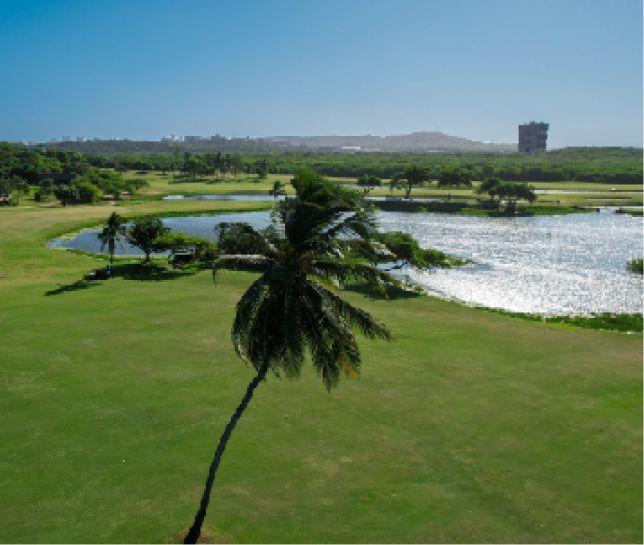 Foto de 2 Campos de golf